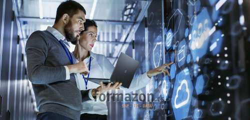 Máter SAP en Administración BASIS y HANA + Integración Cloud Platform en arquitectura SAP S/4Hana