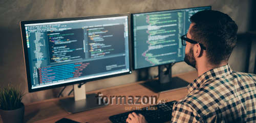 Máter SAP en Programación y Análisis de Datos + Desarrollo Cloud Platform en arquitectura SAP S/4Hana